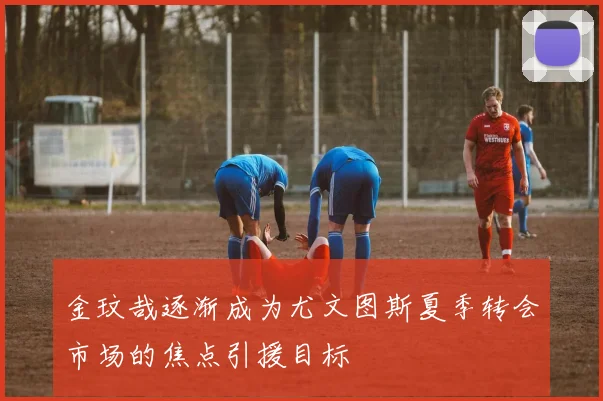 金玟哉逐渐成为尤文图斯夏季转会市场的焦点引援目标